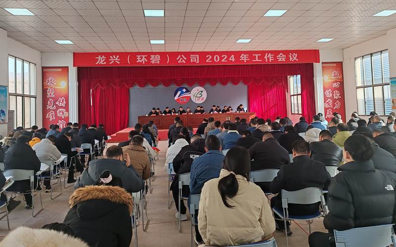龙兴（sanyi三亿（中国））公司召开2024年工作会议