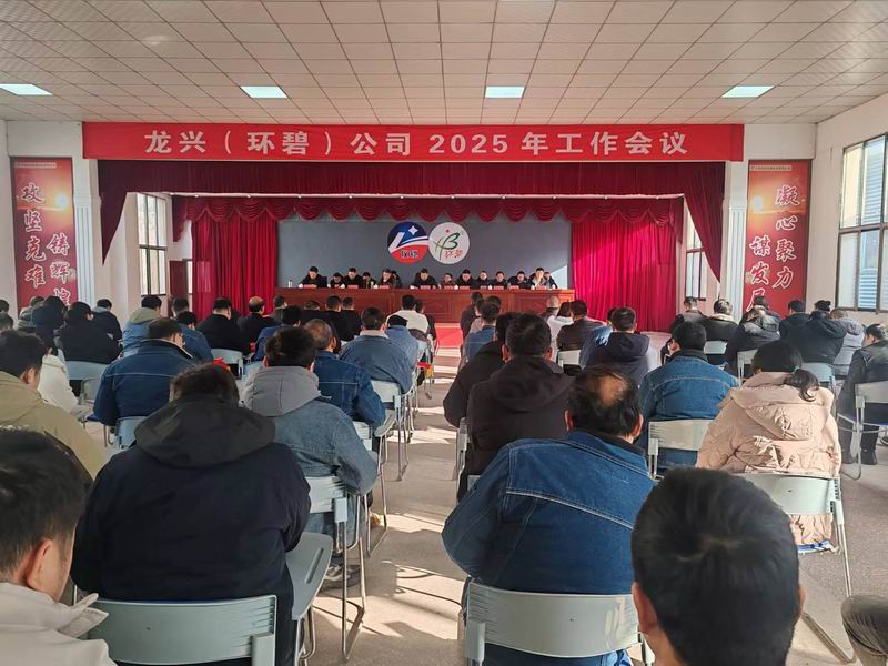 龙兴（sanyi三亿（中国））公司召开2025年工作会议
